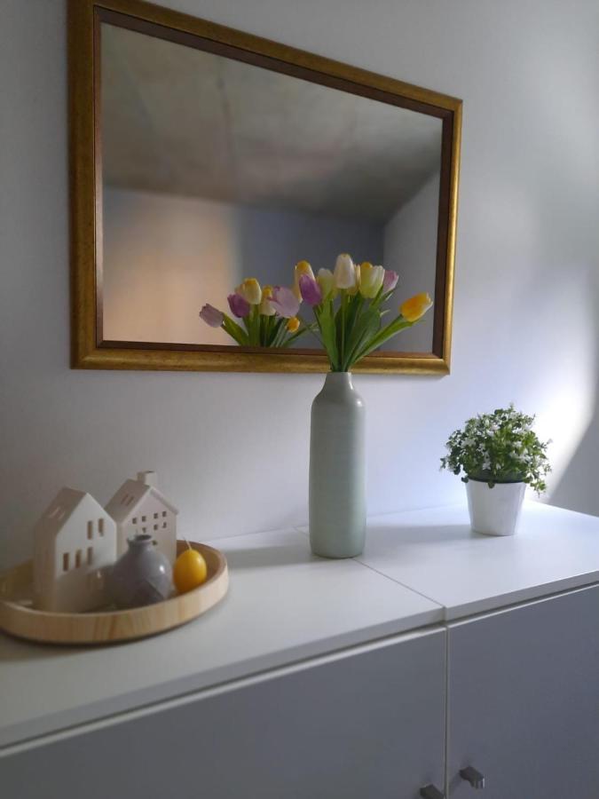Nerudovka Apartment Karlovy Vary Esterno foto